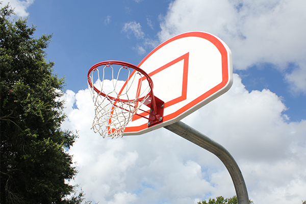 "basketball net"