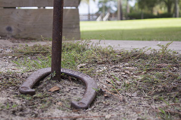 "closeup of horse shoe game"