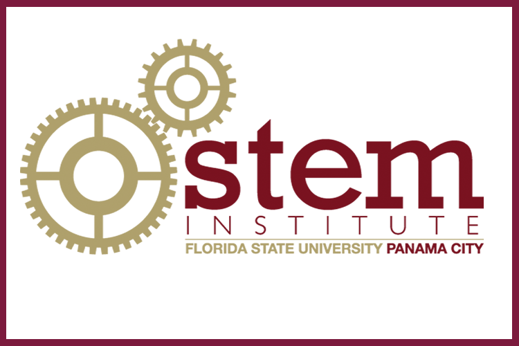 "stem logo"