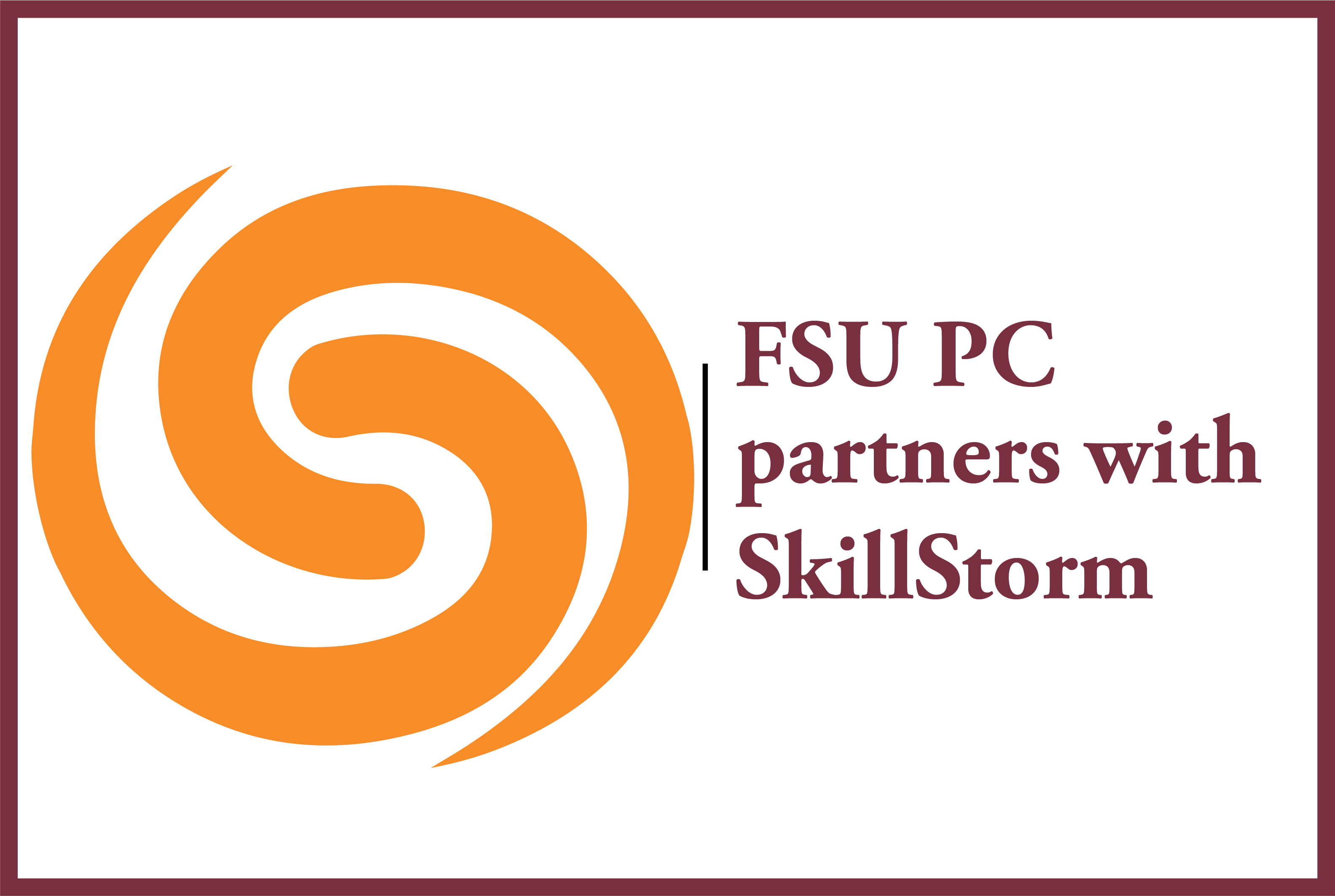 "skillstorms logo"