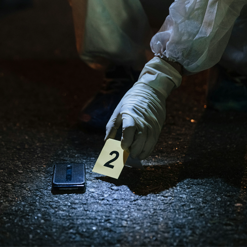 crime scene students