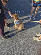 Billy Bowlegs 5K
