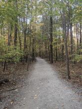 Running Club Wingate Meet