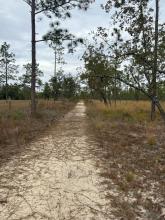 Garden of Eden Hike