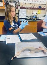 A STEM Story Event for Middle School girls July 2022