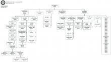2020 Academic Organization Chart