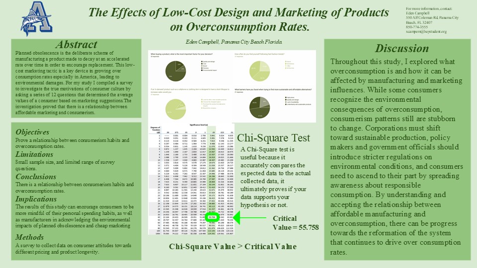 The Effects of Low-Cost Design and Marketing of Products  on Overconsumption Rates.jpg